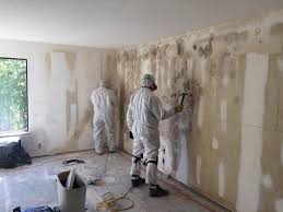 Best Mold Remediation for Healthcare Facilities  in Springfield, KY